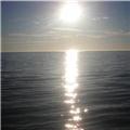 Sunny  January 2012